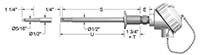 Resistance Temperature Detectors (RTD) with Clean In Place (CIP) Sanitary-Connected Wells