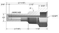 0.260 Inch (in) Bore Diameter and 1/2 Inch (in) Pipe Size Limited-Space Thermowell