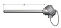 Resistance Temperature Detector (RTD) Pipe Thermowells with Spring-Loaded or Loose Elements