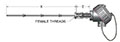 Resistance Temperature Detector (RTD) Pipe Thermowells with Self-Contained, Spring-Loaded Elements and Optional Transmitters
