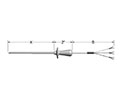 Penetration Style Resistance Temperature Detector (RTD) Sensors - 2
